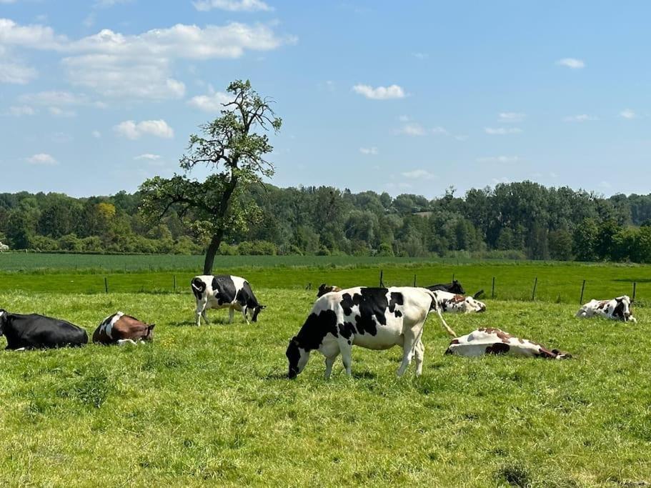 Vakantiewoning Hoogveld Kortessem Eksteriør bilde